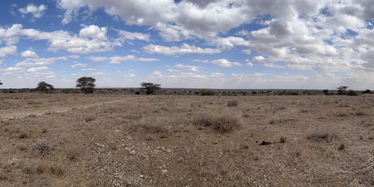 Amboseli Ecosystem - Lion Guardians