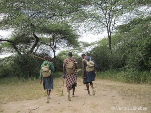 left to right: LGs Mandela, Pascal, and Dareum being trained on Spoor counting