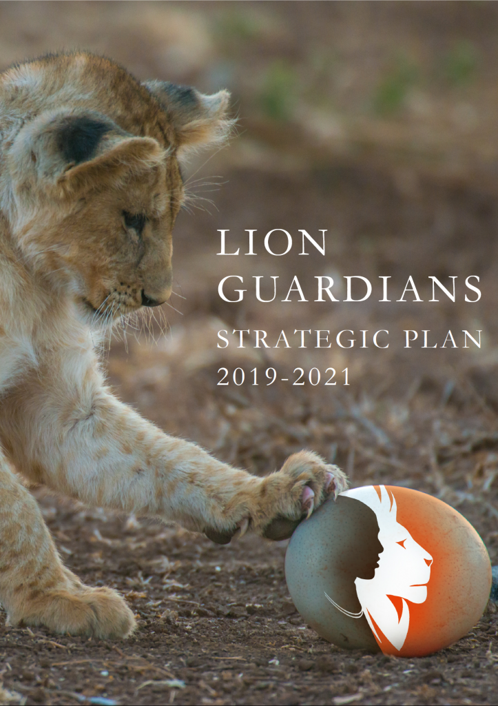 LG strategic plan 2019-2021 p1