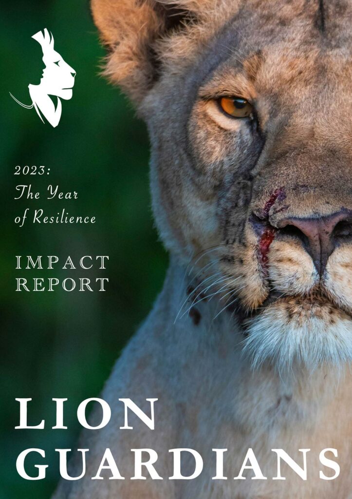 impact_report_2023