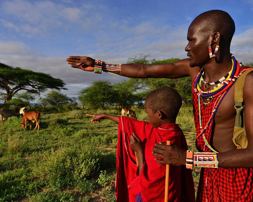 Warning Herders